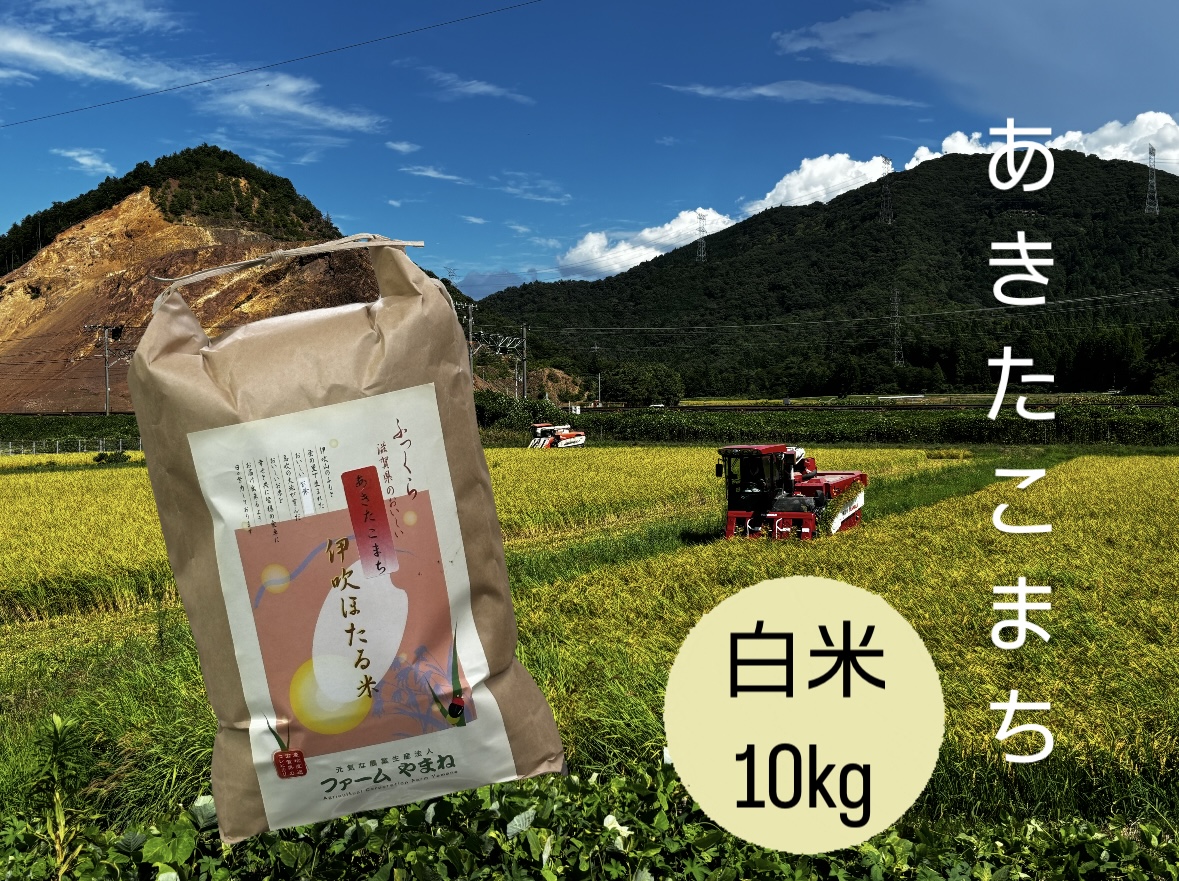 あきたこまち 白米10kg