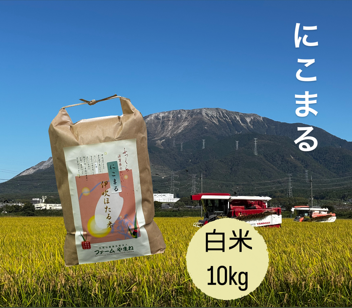 にこまる　白米10㎏